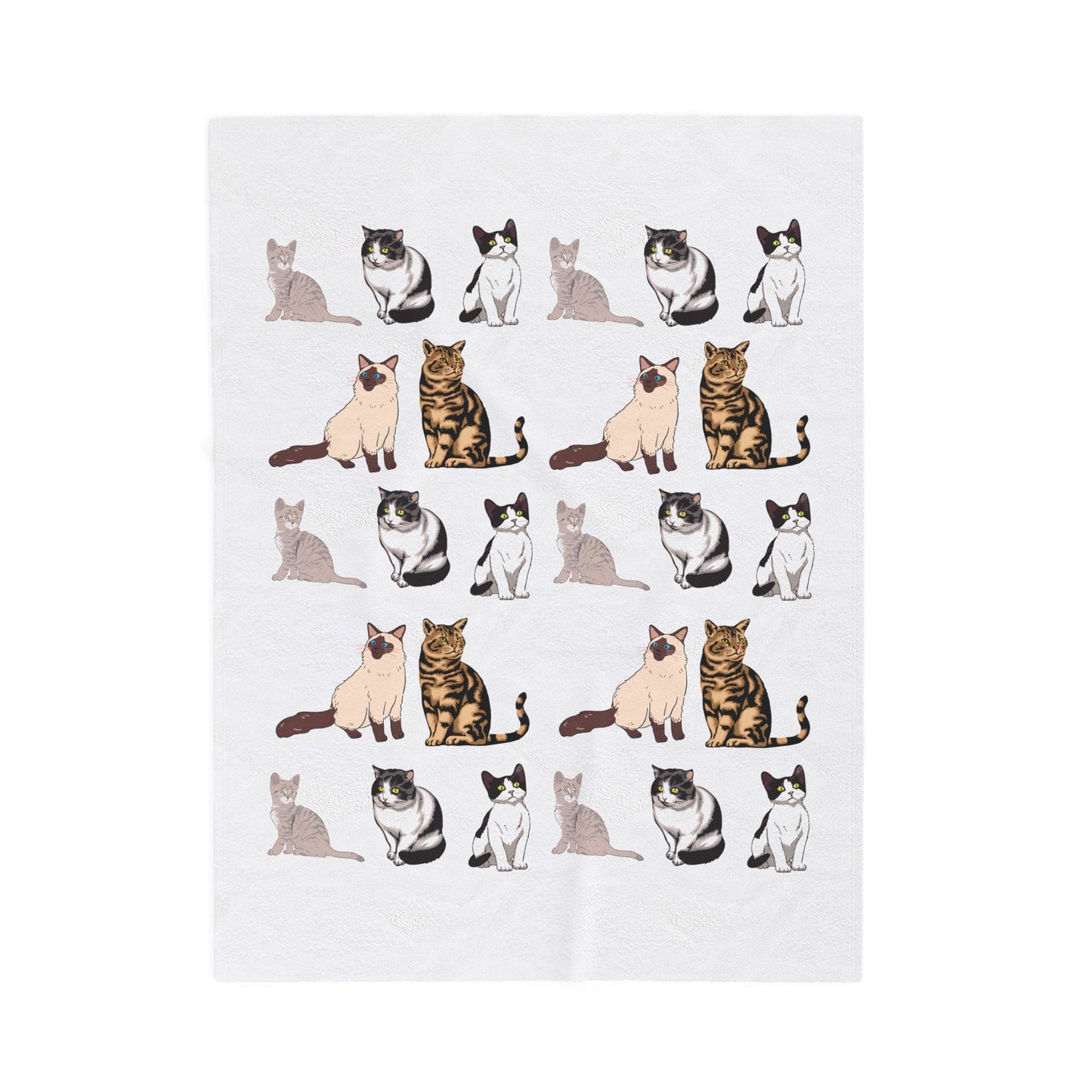 cat collection Velveteen Plush Blanket