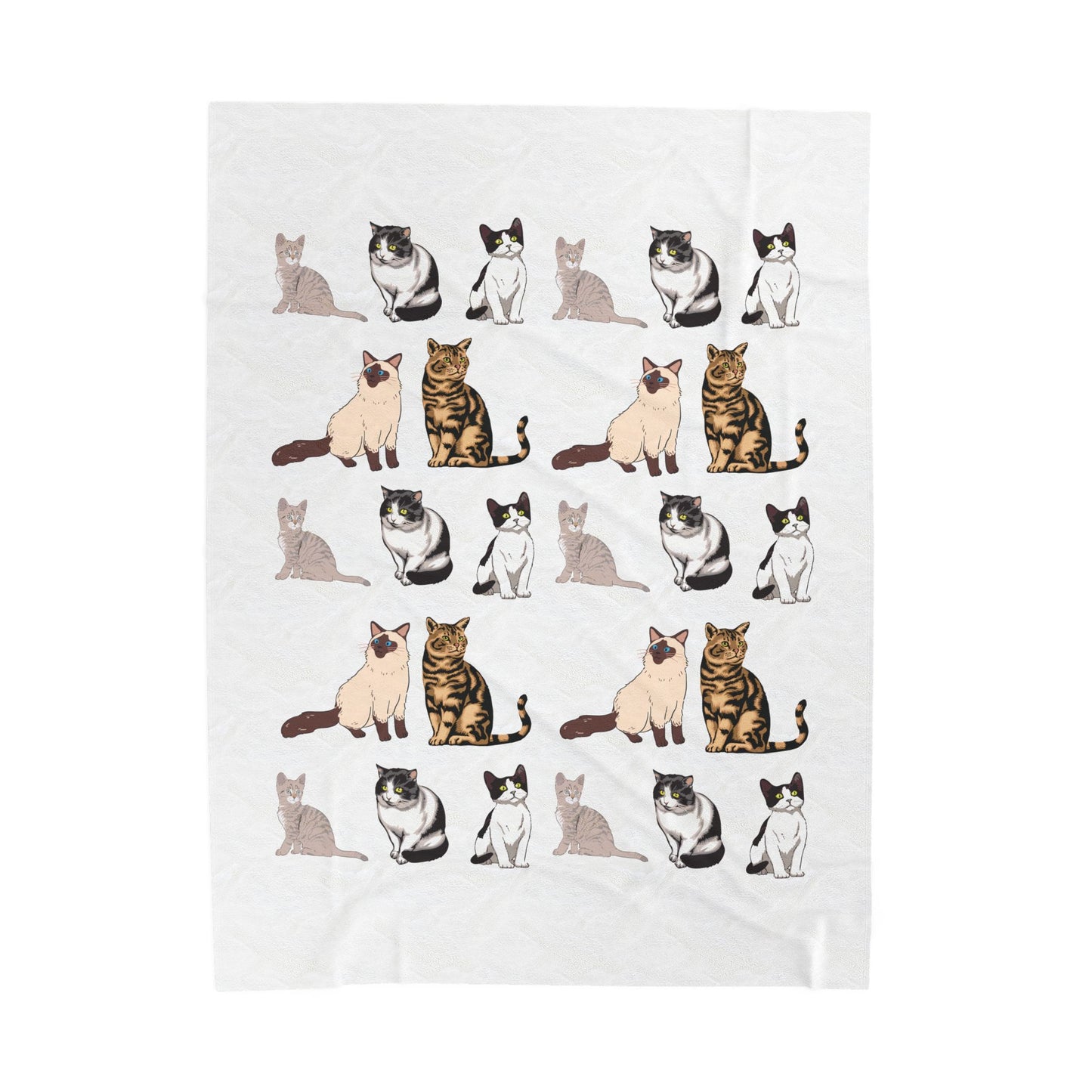 cat collection Velveteen Plush Blanket