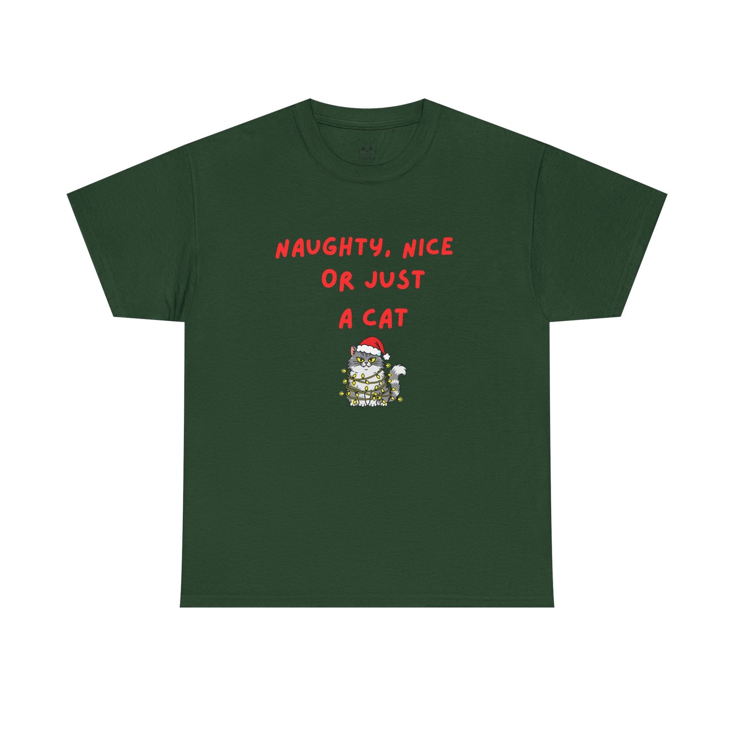 Santa, define nice...T shirt