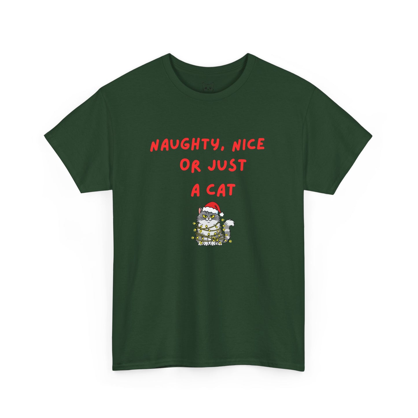 Santa, define nice...T shirt