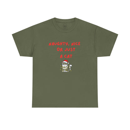 Santa, define nice...T shirt