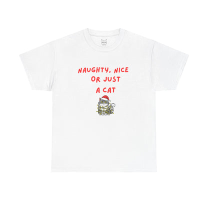 Santa, define nice...T shirt