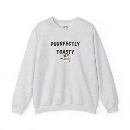 Cat Toasty Sweater