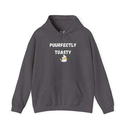 Cat Toasty Hoodie