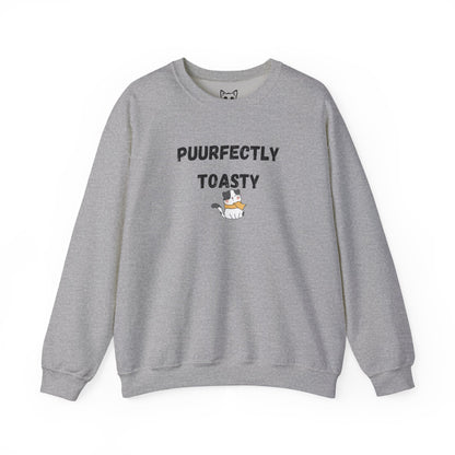 Cat Toasty Sweater