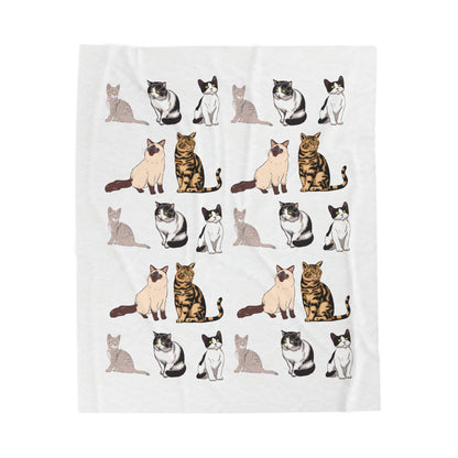 cat collection Velveteen Plush Blanket
