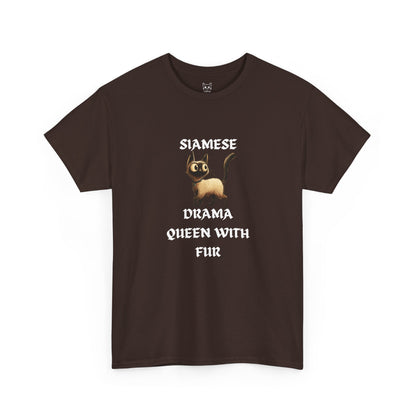 Siamese drama queen Tee