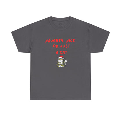 Santa, define nice...T shirt