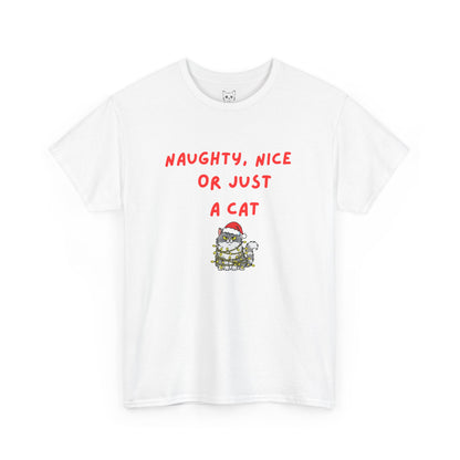 Santa, define nice...T shirt