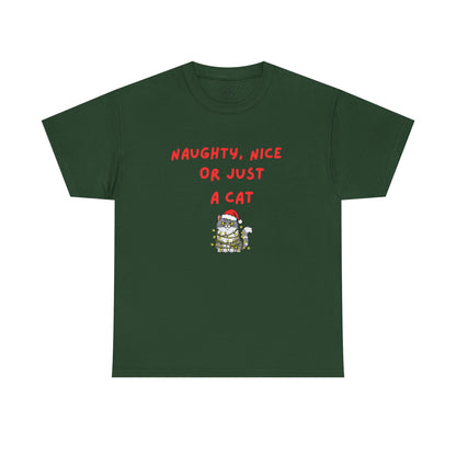 Santa, define nice...T shirt