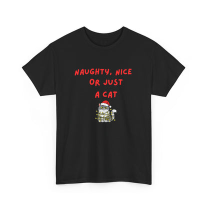 Santa, define nice...T shirt