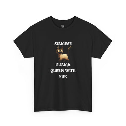 Siamese drama queen Tee