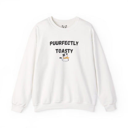 Cat Toasty Sweater