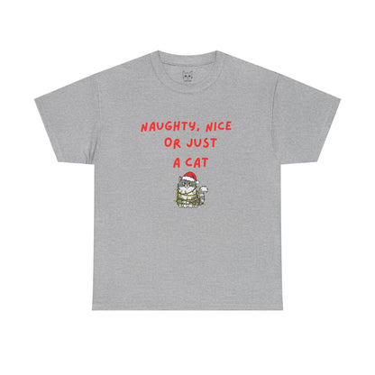 Santa, define nice...T shirt