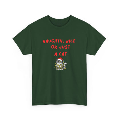 Santa, define nice...T shirt