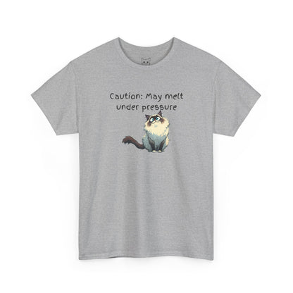Ragdoll Vibes only Tee
