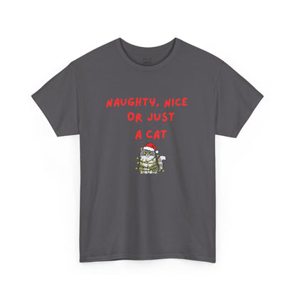 Santa, define nice...T shirt